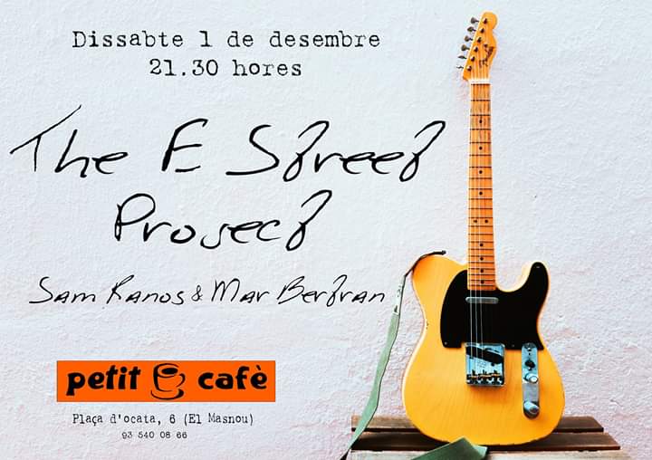 Concert de versions de Bruce Springsteen